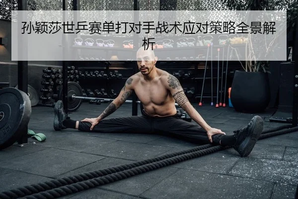 sun-ying-sha-shi-ping-sai-dan-da-dui-shou-zhan-shu-ying-dui-ce-lve-quan-jing-jie-xi-2-172.jpg